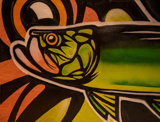 A closeup of the mural in the streets of Florida