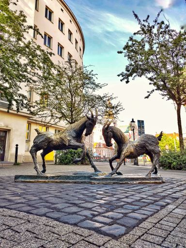 A vertical shot of the goats' statue, for the symbol animal in the legend of Poznan, Poland