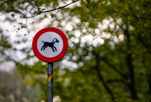 A red round "Dogs not allowed" sign on a pole isolated on a natural bokeh background