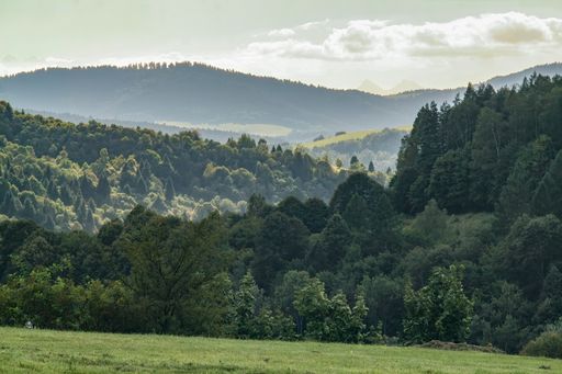 A breathtaking shot of a landscape under the clear skies during the day
