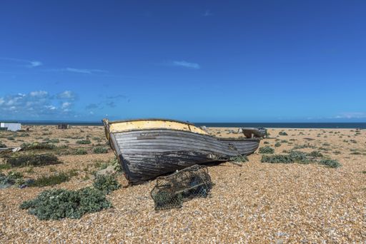 A field surrounded by old abandoned wooden boats under the sunlight and a blue sky