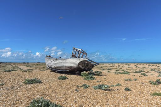A field surrounded by old abandoned wooden boats under the sunlight and a blue sky