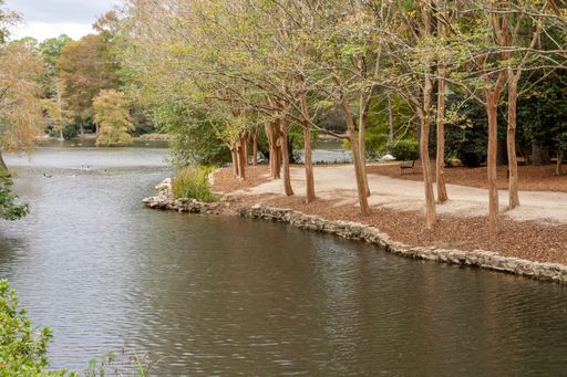 A scenic view of the Swan Lake Iris Gardens park in Sumter, South Carolina