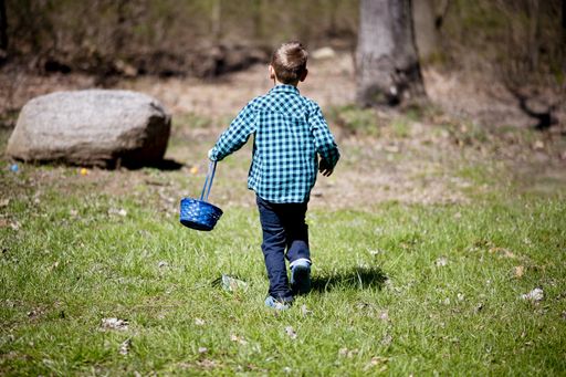 A child in a blue flannel shirt holding a basket and walking through a field under the sunlight