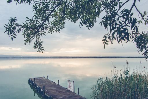 A beautiful scenery of a wooden dock by the sea surrounded by green plants