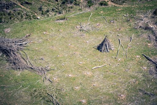 A high angle shot of green land with a lot of wood pieces and a pile of woods for bonfire