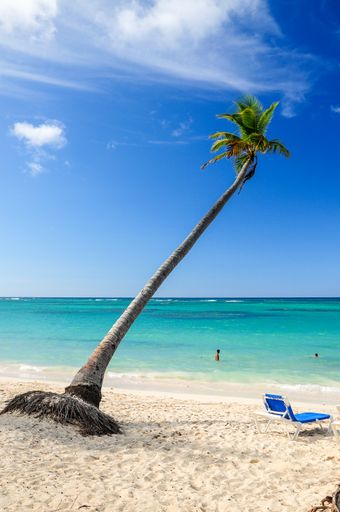 Lounge chair under a lonely palm tree right by the turquoise sea of Punta Cana, Dominican Republic