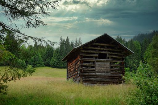 A view of a wooden cabin in the woods on green grass with a gray cloudy sky
