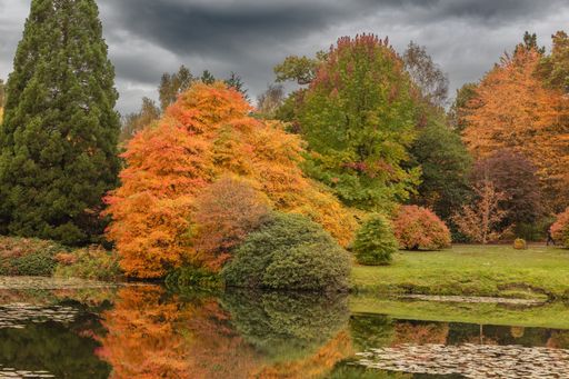A beautiful view of the colorful trees under the stormy sky in the Sheffield Park