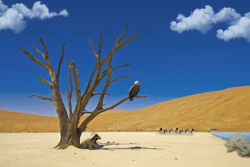 A barren desert scene with a lone tree, eagle perched, and a resting animal under a vibrant blue sky with clouds.