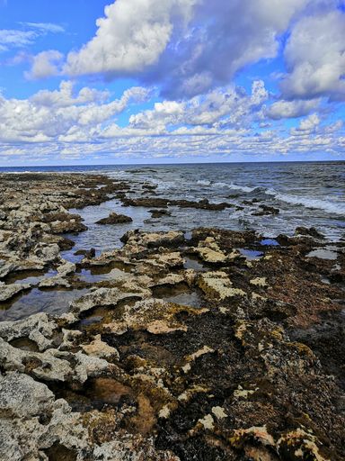 a vertical shot of a beautiful rocky beach in Malta captured on a bright sunny day