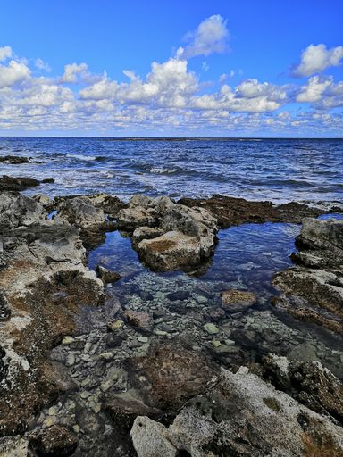 a vertical shot of a beautiful rocky beach in Malta captured on a bright sunny day