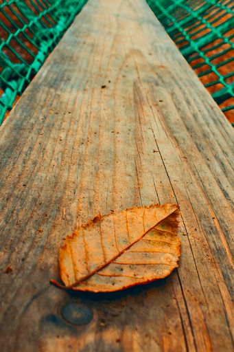 A vertical shot of a dry leaf on a wooden surface