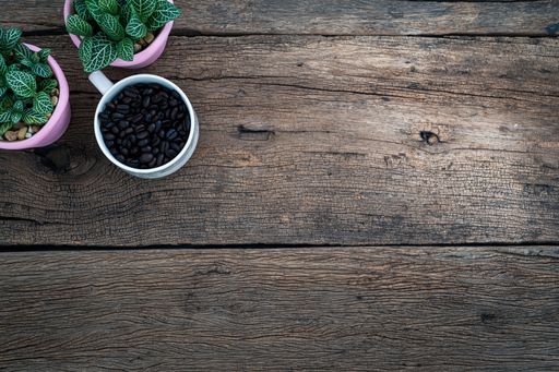 A top view of a wooden table with coffee beans and potted plants along with copy space