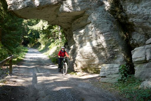 An elderly man riding his bike under a cliff surrounded by lush trees in the wilderness in Switzerland