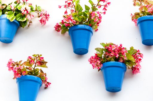 A typical Andalusian white facade with hanging blue flowerpots