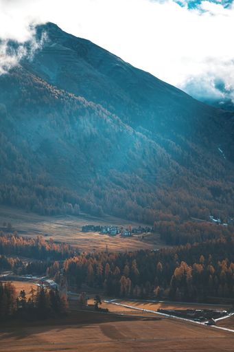 A vertical shot of the fields and residential area in autumn
