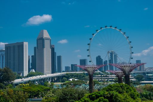 An amazing shot of the Gardens by the Bay in Singapore