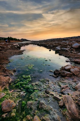 A nice shot of a pond showing the green algae during sunset