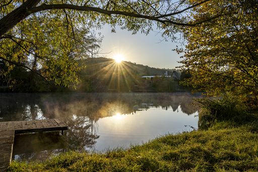 A beautiful view of a sunny day over the park near Syratka River