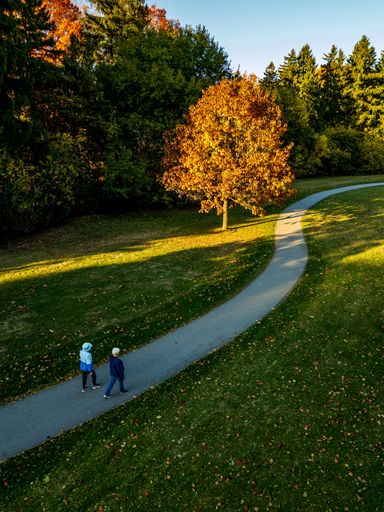 Two people walking on a curved path in a park with autumn foliage and a lone tree under a clear blue sky.