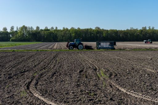 A view of  a farmer ploughing his field using a tractor in Lisse, Netherlands with a blue sky