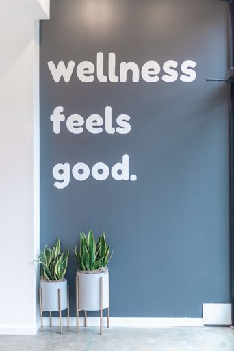 A vertical shot of a [wellness feels good.] text written on a blue-grey wall with aesthetic plants near it