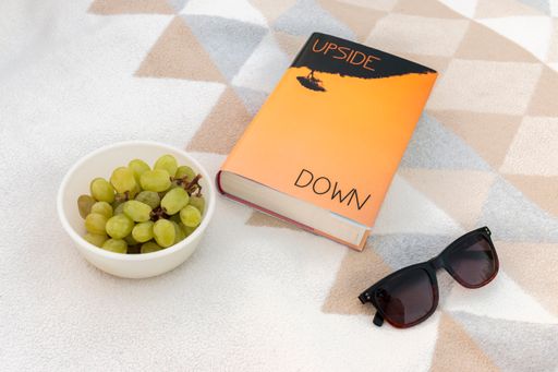 A closeup shot of a Picknick with a book with dust jacket,  sunglasses and plate with grapes.