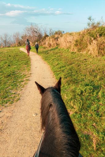 A vertical shot of people riding horses