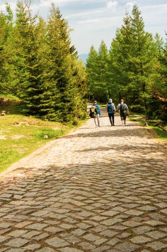 A vertical shot of people on a hiking path in the Karkonosze mountains, Poland during daylight