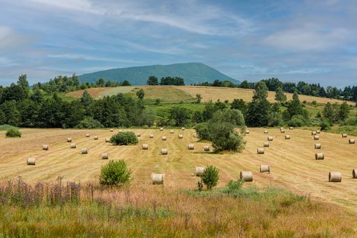 A plateau with haystacks in summer in Bosnia and Herzegovina