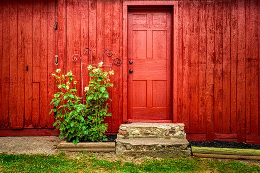 A wooden brown house facade with a brown door and a green plant