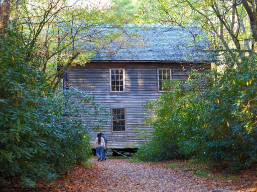Two people walking towards an old wooden house in a lush forest setting, surrounded by green foliage and a path covered with fallen leaves.