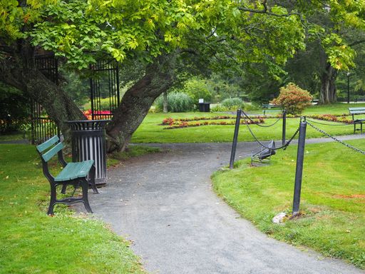 A beautiful green park with an empty green bench