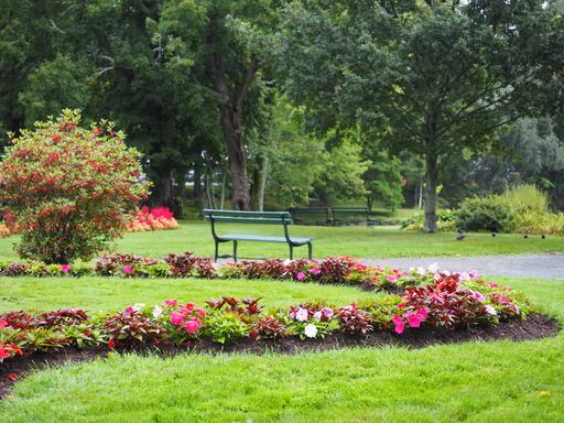 A beautiful landscape in a park with benches, lawn, and blooming flowers