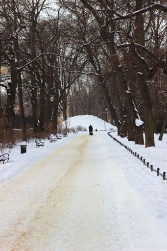 A vertical shot of a snow-covered road surrounded by trees and a person walking