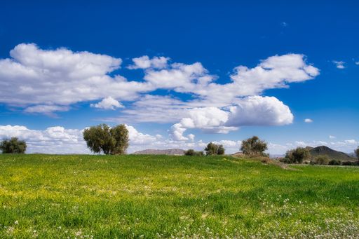 A scenic view of a field with trees and mountains in the background under the blue sky