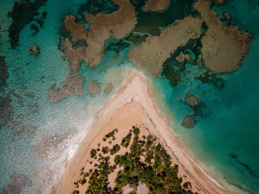 Aerial view of tropical beach.Samana peninsula Abra Grande,Bahia Principe El Portillo beach,Dominican Republic.