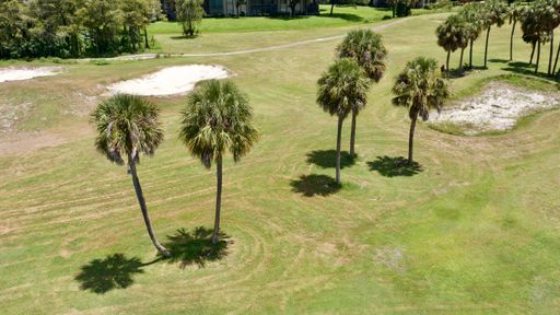 A bright summer day in Fort Lauderdale, Florida with tall palm trees lined up on the vibrant grass