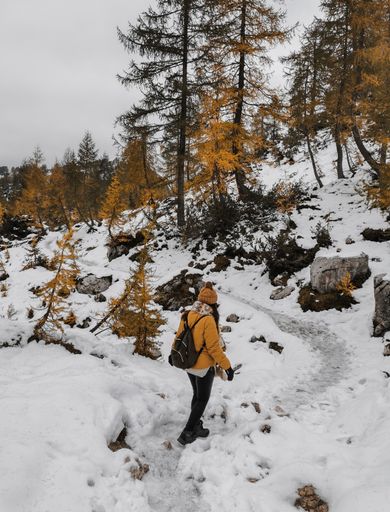 Young woman wearing warm clothes, walking on snow covered path surrounded by yellow larch trees at Slemenova spica in Julian alps in Slovenia.