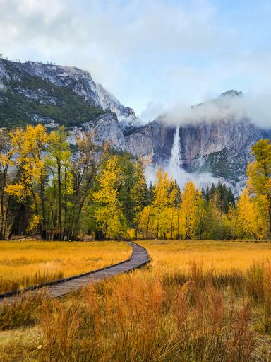 A narrow footpath through yellow trees and grass in Yosemite national park in California in autumn