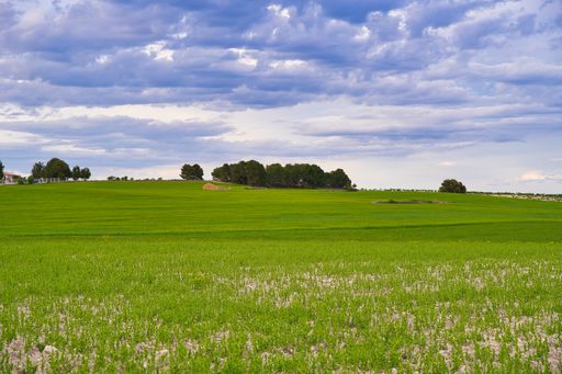 A shot of a field with mountains and trees under the blue sky with clouds