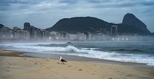 A horizontal shot of a lonely seagull on Copacabana Beach in a time of Covid-19