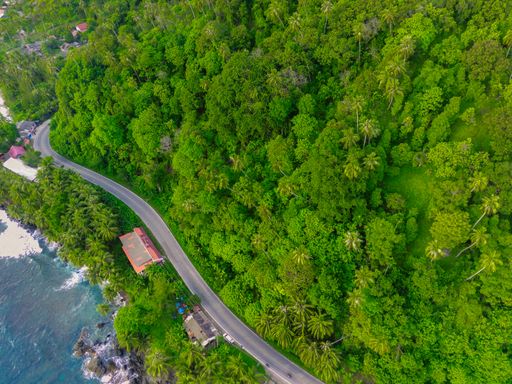 An aerial view of the small town with narrow road surrounded by high dense trees and blue sea