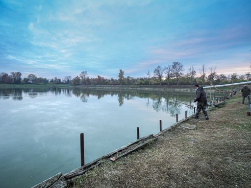 A young Caucasian man catching a fish with a fishing rod at the lake