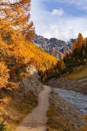 Scenic autumn landscape with a winding path through vibrant orange and yellow trees leading to rugged mountains under a clear blue sky.