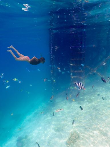 A vertical shot of a female diver swiming with colorful fish near coral reefs underwater in the ocean