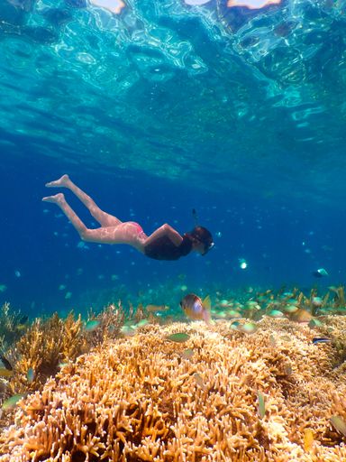 A vertical shot of a female diver swiming with colorful fish near coral reefs underwater in the ocean