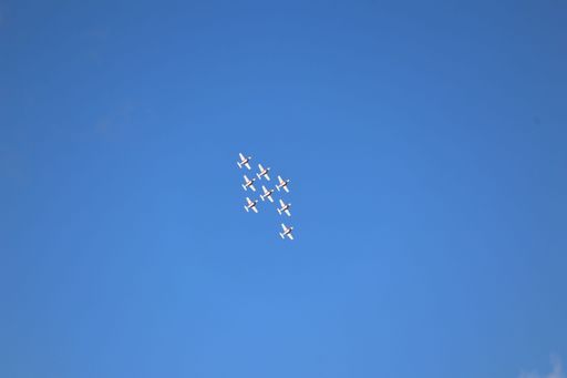 Eight Canadian Snowbirds perform in the sky at San Francisco Fleet Week.