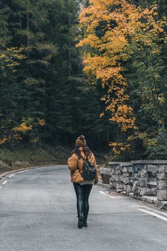 Earth tones photo of female hiker standing in middle of road in forest. Moody tones of beautiful nature with fall colors.